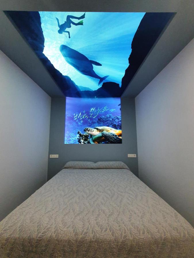 Casa Cetaceo *